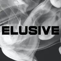Company Logo 5